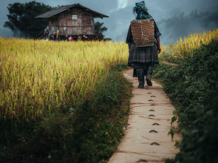 Vietnam